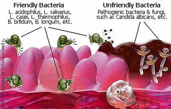 alterazioni flora batterica